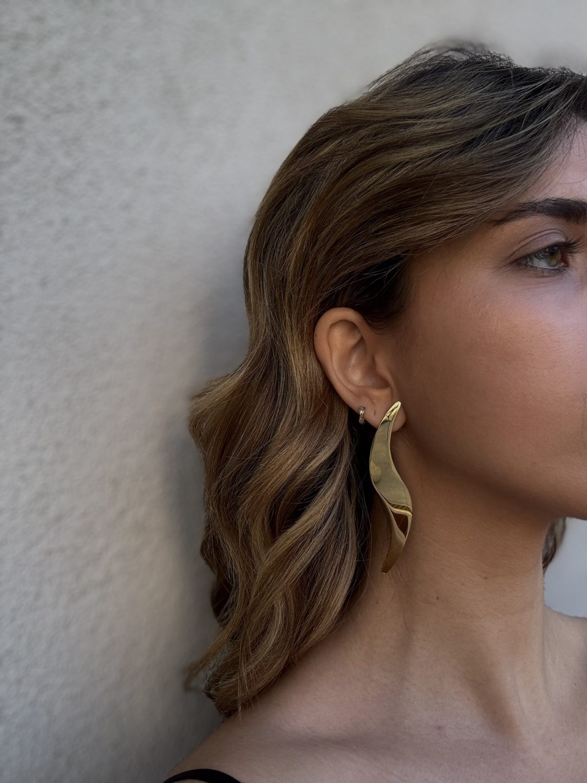 Odin earrings