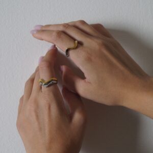 ring jewelry necklace gold silver earrings bag