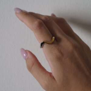 ring jewelry necklace gold silver earrings bag