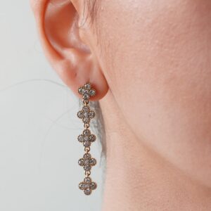 ring jewelry necklace gold silver earrings bag